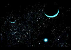 wpe16.jpg (5144 bytes)